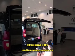 Küresel Otomotiv Satış Sonrası Pazarında Çift Kutuplu Hyundai H1 Otomatik Bagaj Kapağı Kaldırma